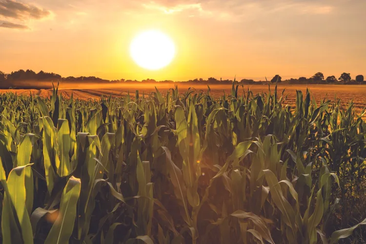 Grants awarded to local agricultural businesses